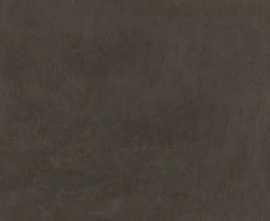 Керамогранит Kerama Marazzi DD592820R Про Фьюче коричневый обрезной 60x119.5