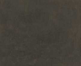 Керамогранит Kerama Marazzi DD592800R Про Фьюче коричневый обрезной 60x119.5