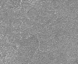 Подступенник Kerama Marazzi DD600520R/5 Подступенок Про Стоун серый темный 60x10,7