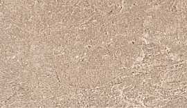 Плинтус Kerama Marazzi DD2001/BSL/SO Про Стоун бежевый горизонтальный левый 40х9.5