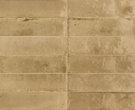 Керамогранит Ragno Marazzi R8FP Look Beige Glossy 24x6