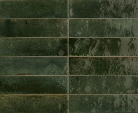 Керамогранит Ragno Marazzi R8FS Look Oliva Glossy 24x6