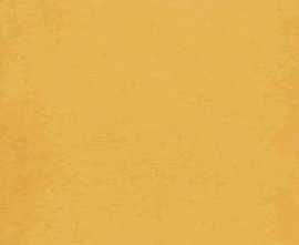 Керамогранит VIVES 1900 Amarillo g.136 20x20