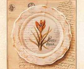 Factoria 25.8(420) Декор Herbarium 6 из 1 плитки 10x10