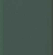 Плитка DNA Tiles Plinto Green Matt 10.7x54.2