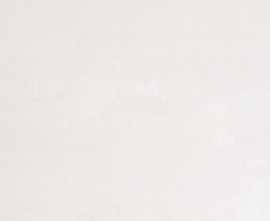Плитка Etile 162-009-4 Tribeca Blanco Matt 33.3x100