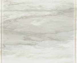 Декор Brennero SRPGG Venus Dec. Solitaire Rosone Pav. Gold Grey 60х60