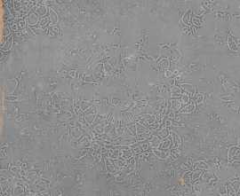 Декор Wow 111358 ZELLIGE DECOR GREY 12.5x12.5