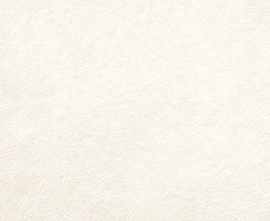 Плитка Durstone Indiga White 40x120