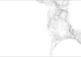 Плитка Sinfonia Classic Classic-R White 32*90