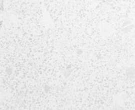 Керамогранит Sanchis TREND Nacar Lappato RC 60x120