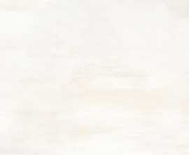 Плитка Polcolorit SM-MUSA BE J 24.4x74.4