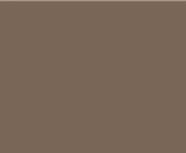 Плитка ArtyCer Home Brillant Taupe 25x60
