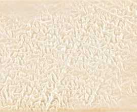 Декор Keramex Liberty Decor Champagne 20x30