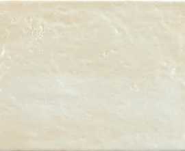 Плитка Keramex Liberty Champagne 20x30