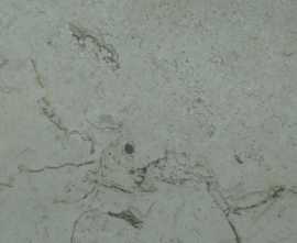 Плитка Mayolica Pompeya Marfil 20x20