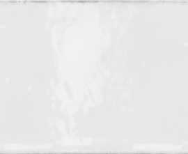Плитка Valentia Menorca Blanco 20*60