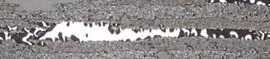 Бордюр Brennero List. Pollock Silver 4х60