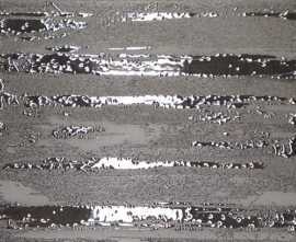 Декор Brennero Decor Pollock Silver 30х60
