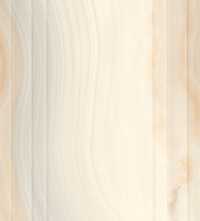 Декор Serra Agatha LINE DECOR BONE GLOSSY 40x120