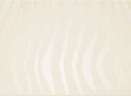 Декор Aleluia Ceramicas D2056 Dec.HOME SKIN BONE 20*50