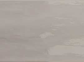 Плитка Roca Arlette Gris 21.4х61
