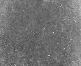 Керамогранит Eefa Ceram Parigi Gray 60x60