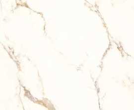 Керамогранит PrimaVera TP66M16 Гемба матовый 60x60