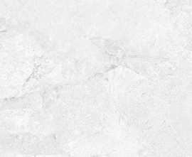 Керамогранит PrimaVera TP66M09 Фавор матовый 60x60