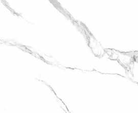 Керамогранит PrimaVera TP66M24 Эльбрус матовый 60x60