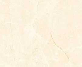 Керамогранит PrimaVera TP66M11 Джимара матовый 60x60