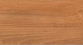 Керамогранит Absolut Gres AB 1064W Barma Brown 1200x200