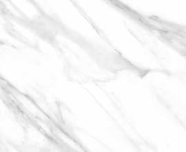 Керамогранит Absolut Gres AB1061G Statuario White gloss 600x600