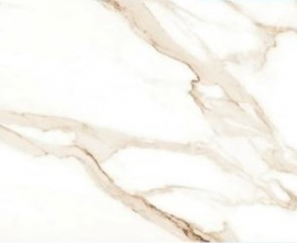 Керамогранит Absolut Gres AB 1026G Ricato Brown gloss 1200x600