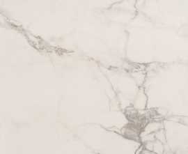 Керамогранит Absolut Gres AB1095G Carrara White gloss 600x600