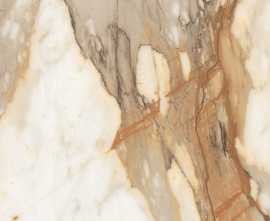 Керамогранит Absolut Gres AB1059G Borgini Gold gloss 600x600