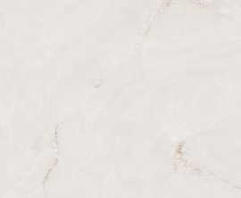 Керамогранит Absolut Gres AB1022G Profitland Bianco gloss 600x600