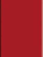 Керамогранит Serapool 80125 Red 12,5x25