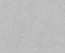 Керамогранит Simpolo Ceramics Stx Fossil Dove 59,8х119,8