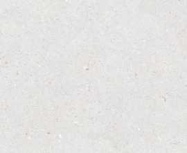 Керамогранит Simpolo Ceramics Stx Fossil Bianco 59,8х119,8