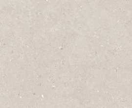 Керамогранит Simpolo Ceramics Stx Fossil Barley 59,8х119,8