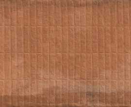 Керамогранит Simpolo Ceramics Stx Frt Cotta Red 59,8х119,8