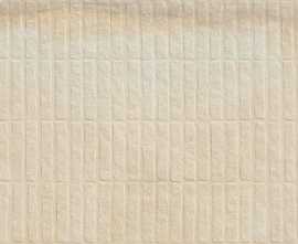 Керамогранит Simpolo Ceramics Stx Frt Cotta Pista 59,8х119,8