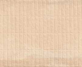 Керамогранит Simpolo Ceramics Stx Frt Cotta Peach 59,8х119,8
