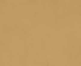 Керамогранит Ragno Marazzi RA5D Decora Senape Rett 60x120