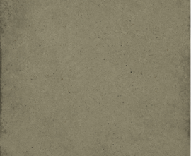 Керамогранит Equipe 24396 ART NOUVEAU CYPRESS GREEN 20*20