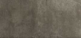 Керамогранит Ragno Marazzi R49Y Milestone Tabaco 15*90