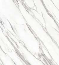 Керамогранит Vitra K951297FLPR1VTST MarbleSet Венато Светло-серый 7ФЛПР 9мм 60x120