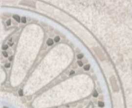 LB-Ceramics 7302-0006 (3602-0006) Тенерифе Вставка серебрянная 14х14