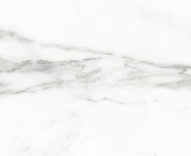 Керамогранит LB-Ceramics 6246-0036 (6046-0168) Бьянка Каррара белый 45х45